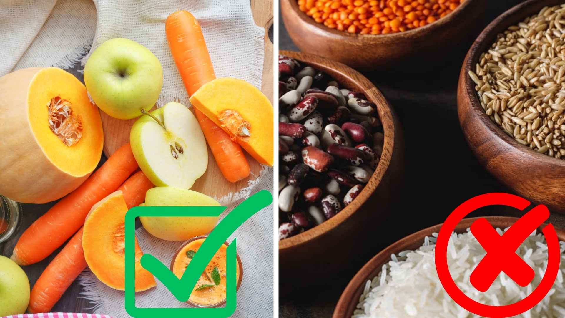 Fotos mejores carbohidratos para perros